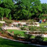 Gallery 1 - Zilker Botanical Garden