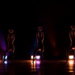 Gallery 2 - Ballet Under the Stars - 2019