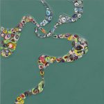 Gallery 3 - Opening Reception - Charlotte Smith: Entangled