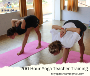 200 Hour Yoga Training Course in Rishikesh