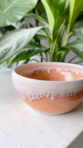 6 Week Wheel-Focus Class at Feats of Clay Pottery