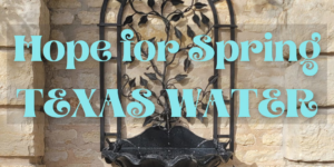 Hope for Spring: Texas Water