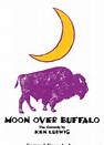 Auditions for "Moon Over Buffalo"