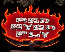 Red Eyed Fly